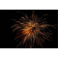 Gold Digger Joe, 20 Schuss