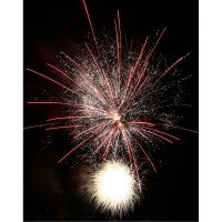 Delta Fire B40-496, 40 Schuss