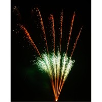 Fantastico, 124 Schuss