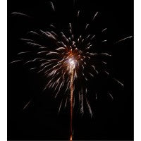 Fantastico, 124 Schuss