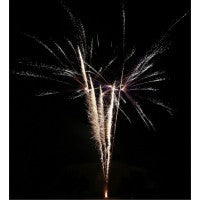 Spring Break, 36 Schuss