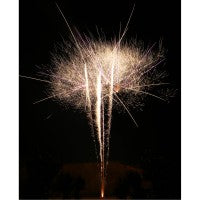 Spring Break, 36 Schuss