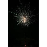 Spring Break, 36 Schuss