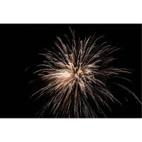 Gold Digger Joe, 20 Schuss