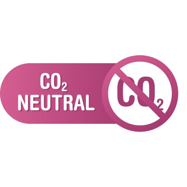 Northern Lights, 300 Schuss