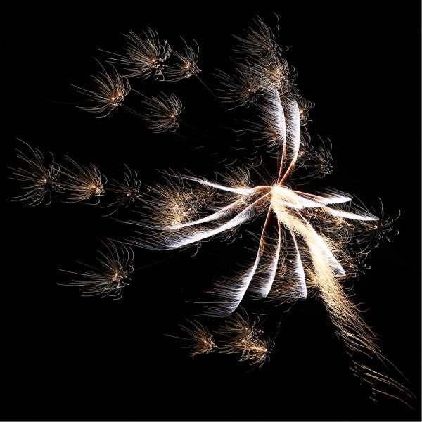 Delta Fire R10-200, 10er-Rak.-Schtl.