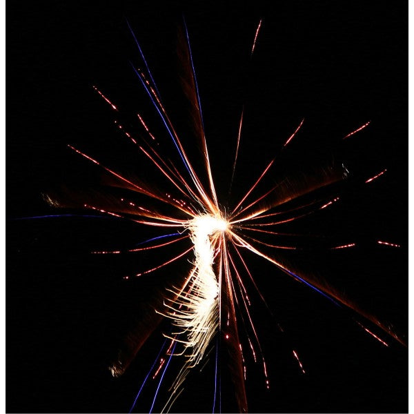 Delta Fire R10-200, 10er-Rak.-Schtl.