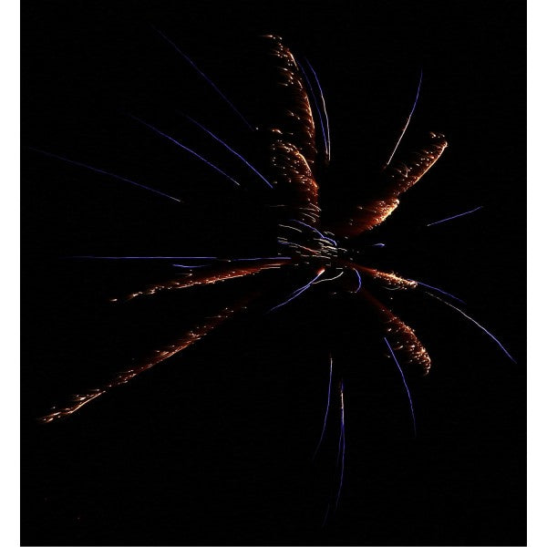 Delta Fire R10-200, 10er-Rak.-Schtl.