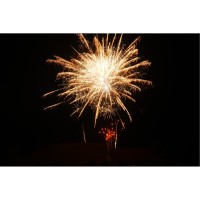 Delta Fire B36-477, 36 Schuss