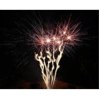 Delta Fire V100-1870, 100 Schuss