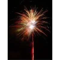 Free the Beast, 144 Schuss