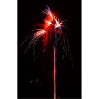 Free the Beast, 144 Schuss